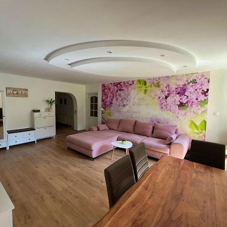 Apartman Stara Sasova バンスカー・ビストリツァ エクステリア 写真